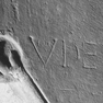 Grabplatte des Udelo, Detail, auf dem Kopf stehend