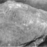 Bild zur Katalognummer 144: Fragment der Grabplatte eines Unbekannten