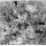 Sgraffiti, in der Krypta an der Westlaibung des Eingangs auf hellgrauem Putz mit Kohlestift, zwei Schichten, älter, 15. Jahrhundert (I), jünger, 17. Jahrhundert (II).