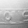 Glocke, Detail mit Inschrift an der Schulter