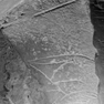 Fragmente (Treppenstufen) der Grabplatte des Priesters Henning [1/4]