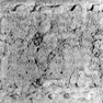 Grab- bzw. Sterbeinschriften für Hanns Christoff von Pienzenau und seine Ehefrauen Verena, geb. von Closen, und Maria, geb. von Reitzenstein, auf einer Inschriftenplatte
