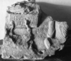 Bild zur Katalognummer 15: Relief unbekannter Herkunft mit der Darstellung der Geburt Christi
