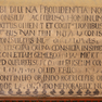 Fragmente aufgemalter Inschriften im Sitzungssaal des Rathauses [8/10]