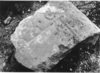 Bild zur Katalognummer 36: Fragment einer Grabplatte für einen Unbekannten