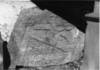 Bild zur Katalognummer 335: Fragment eines Grabdenkmals für Anna NN