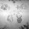 Wand- und Gewölbemalereien, Detail (B, C)