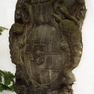 Bild zur Katalognummer 202: Jahreszahl auf Bischofswappen unter Mitra, hinterlegt von einem Krummstab