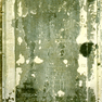 Grabplatte des Andreas Ramdohr in St. Martini